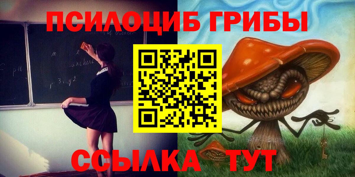 Мичуринск  Псилоцибиновые грибы прущие грибы  Вход с VPN 