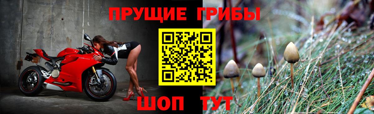 Галлюциногенные грибы прущие грибы Мичуринск